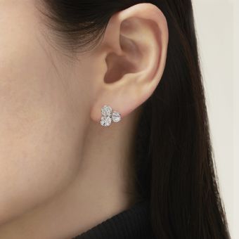 PE01646PU