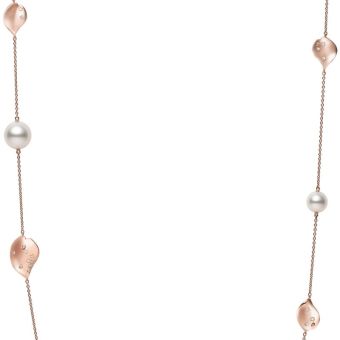 PP20461NI