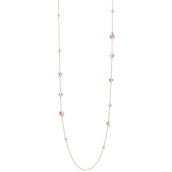 PP20461NI