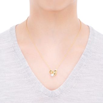 PP20529K